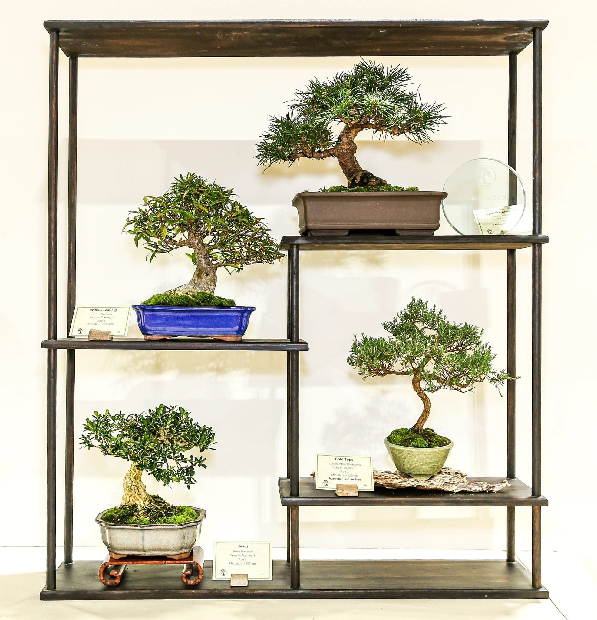 Photo from the 2022 annual show