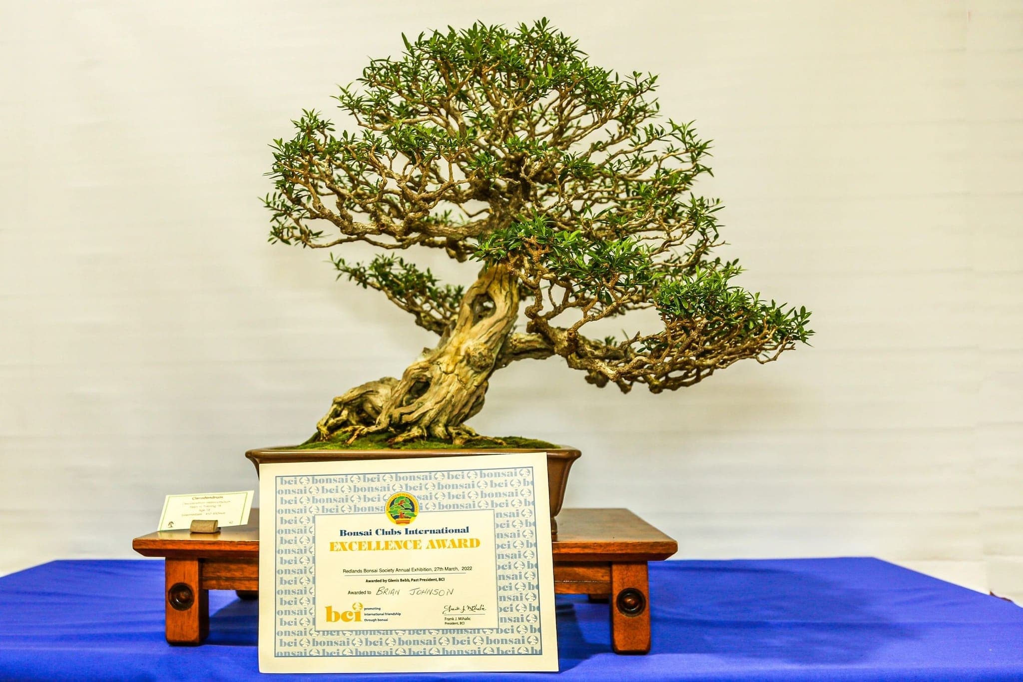 Photo from the 2022 annual show
