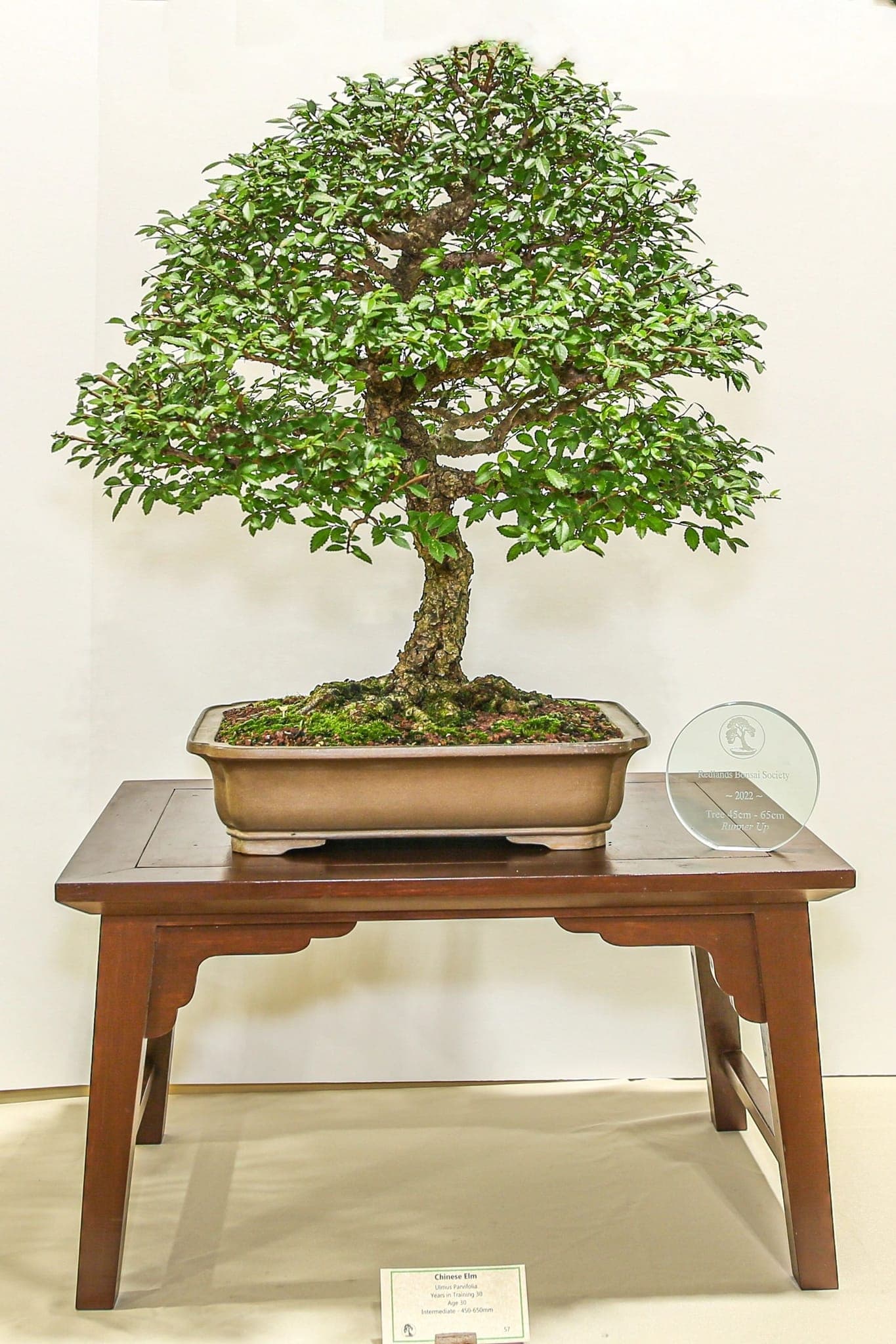Photo from the 2022 annual show