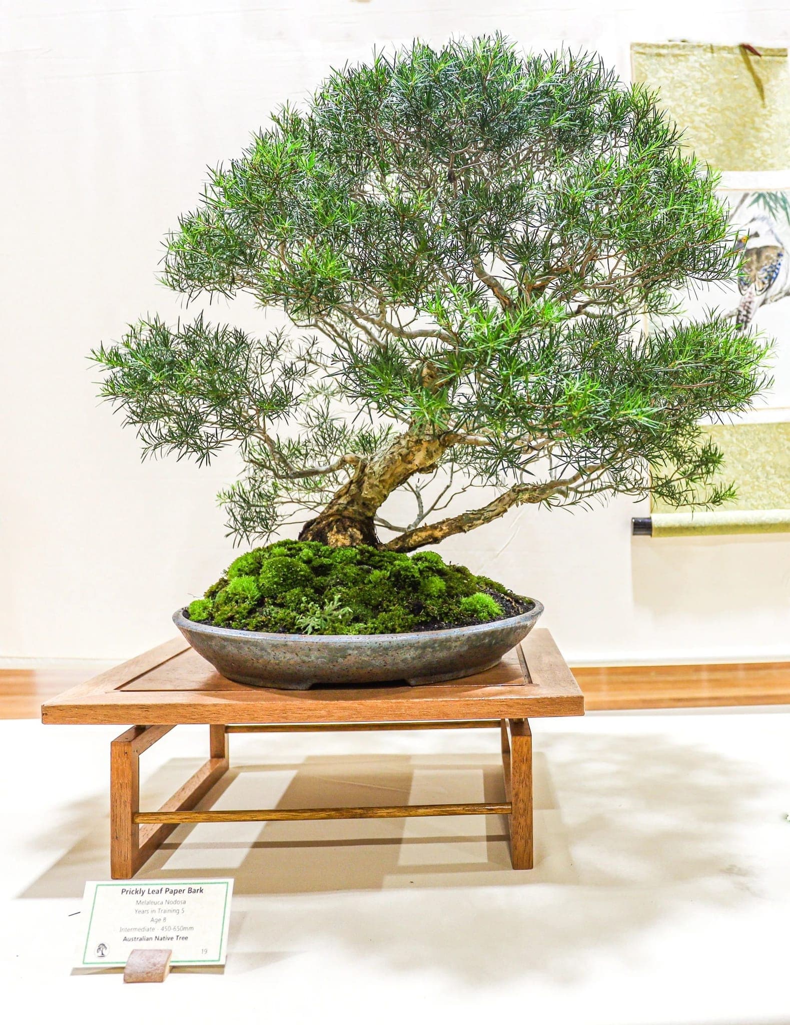 Photo from the 2022 annual show