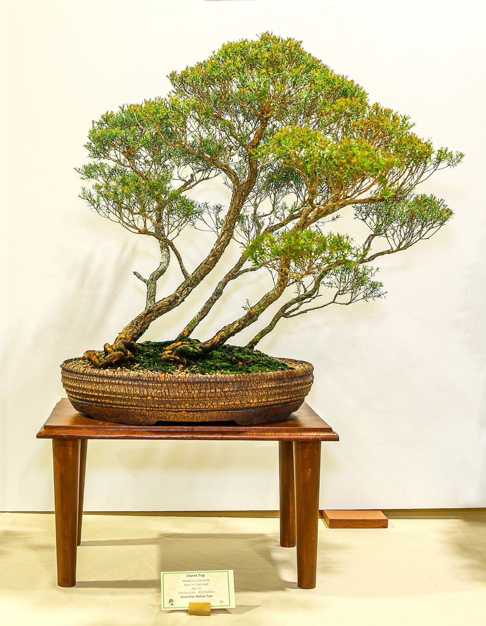 Photo from the 2022 annual show