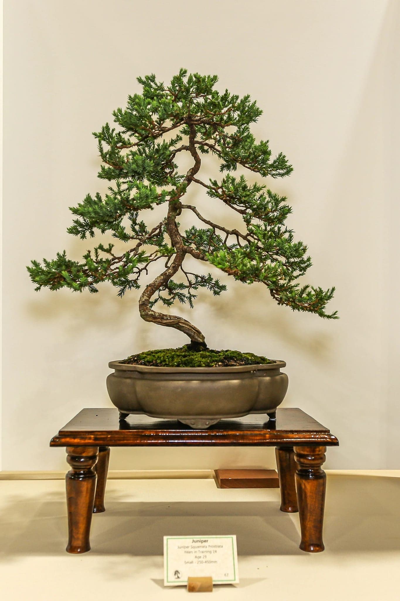 Photo from the 2022 annual show