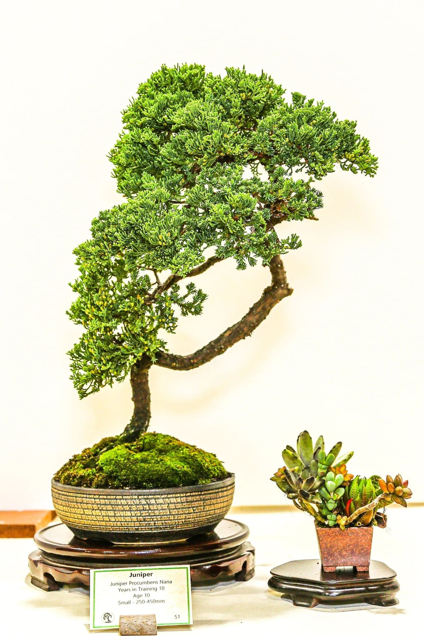 Photo from the 2022 annual show
