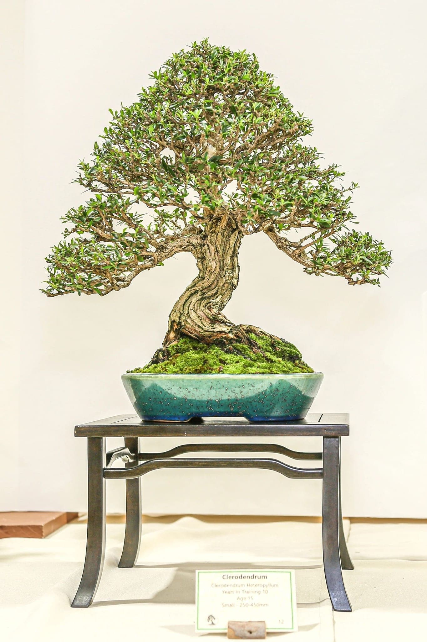 Photo from the 2022 annual show