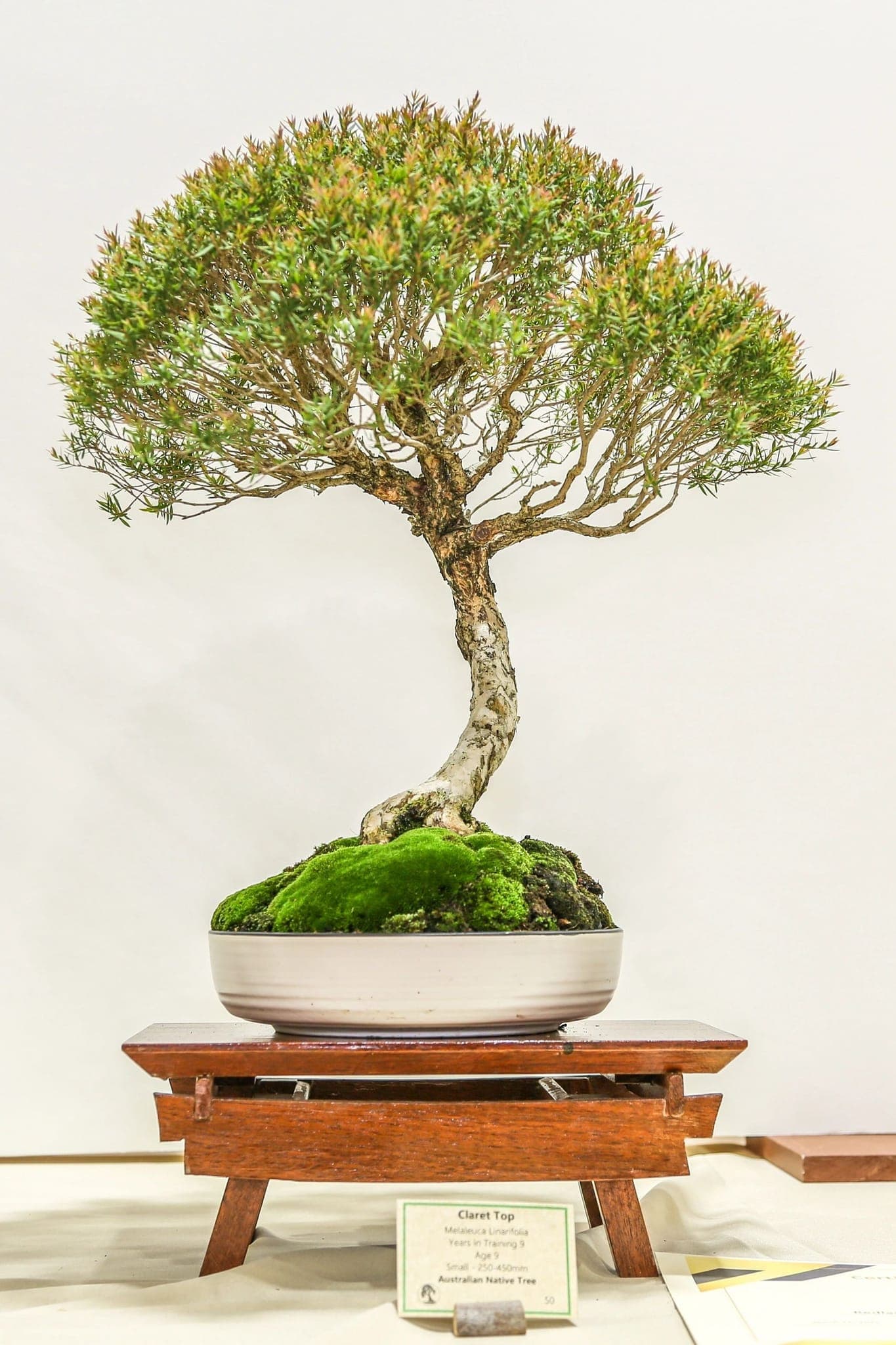 Photo from the 2022 annual show