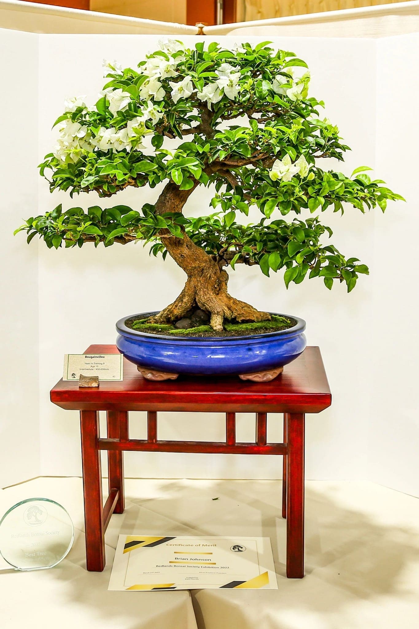 Photo from the 2022 annual show