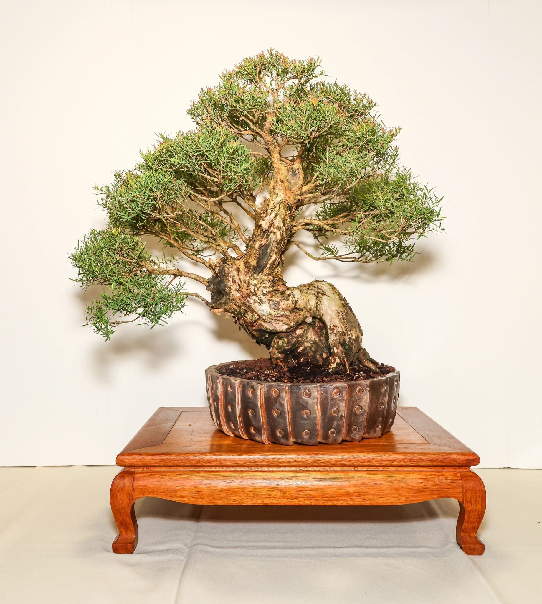 Photo from the 2023 annual show