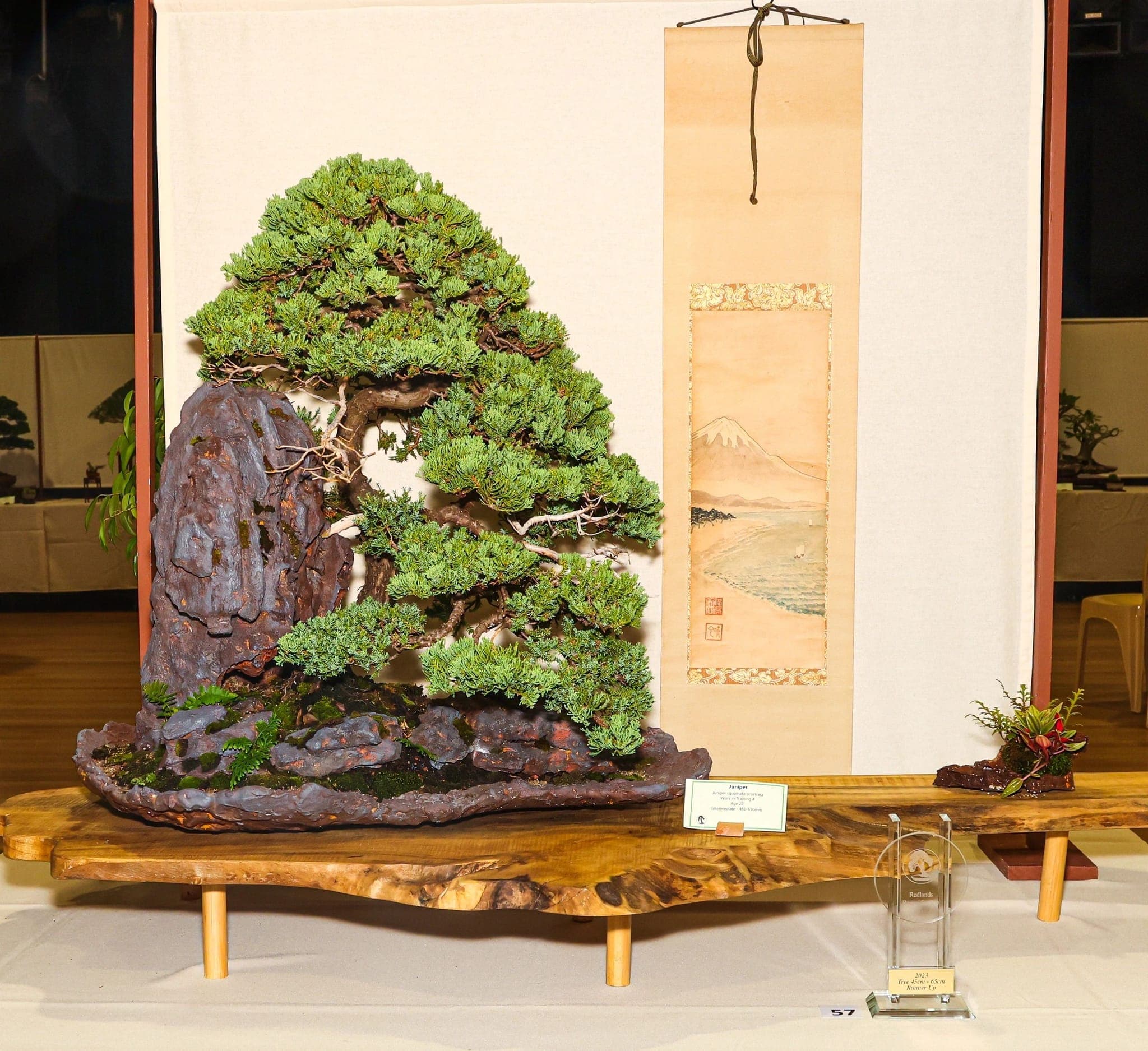 Photo from the 2023 annual show