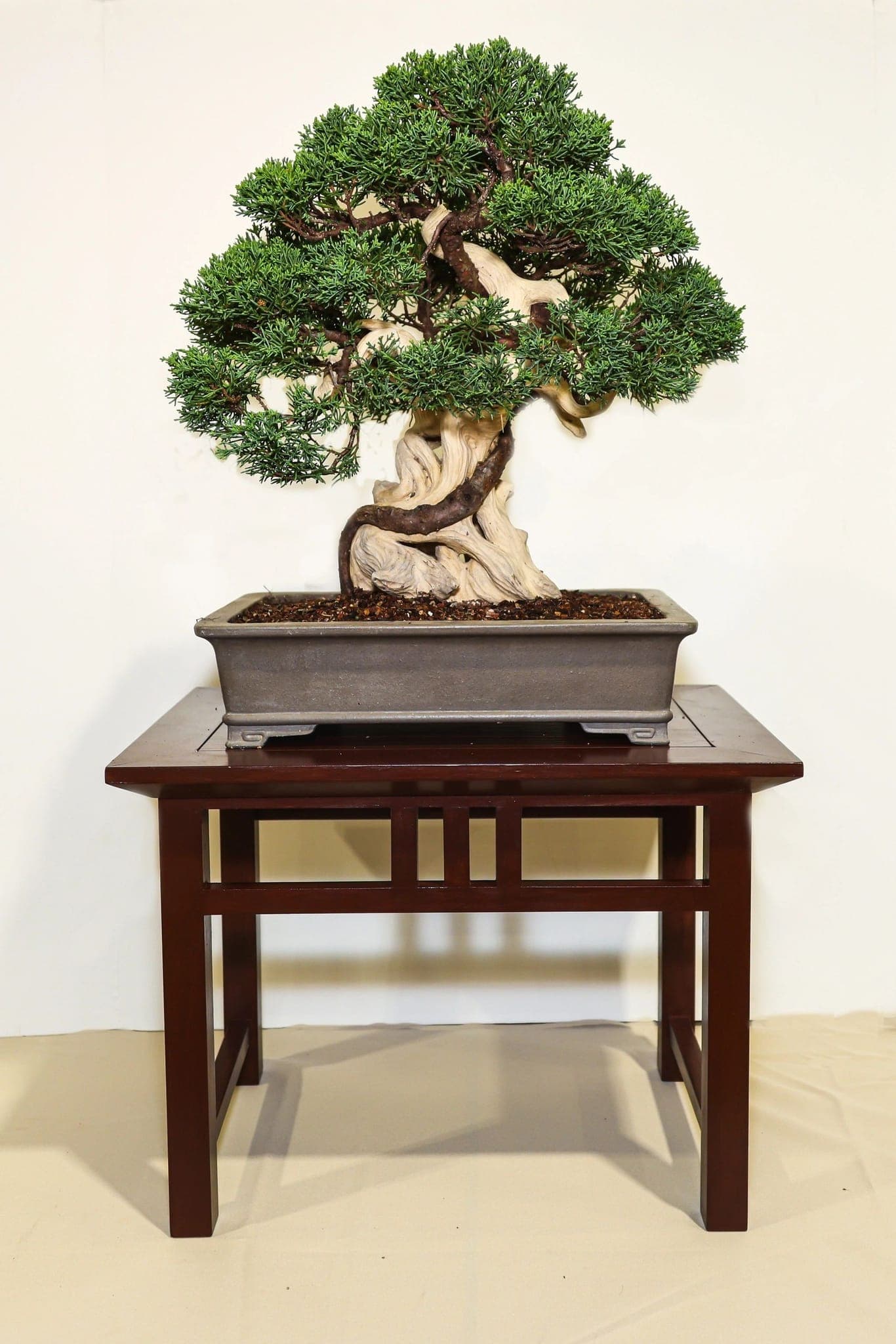 Photo from the 2023 annual show