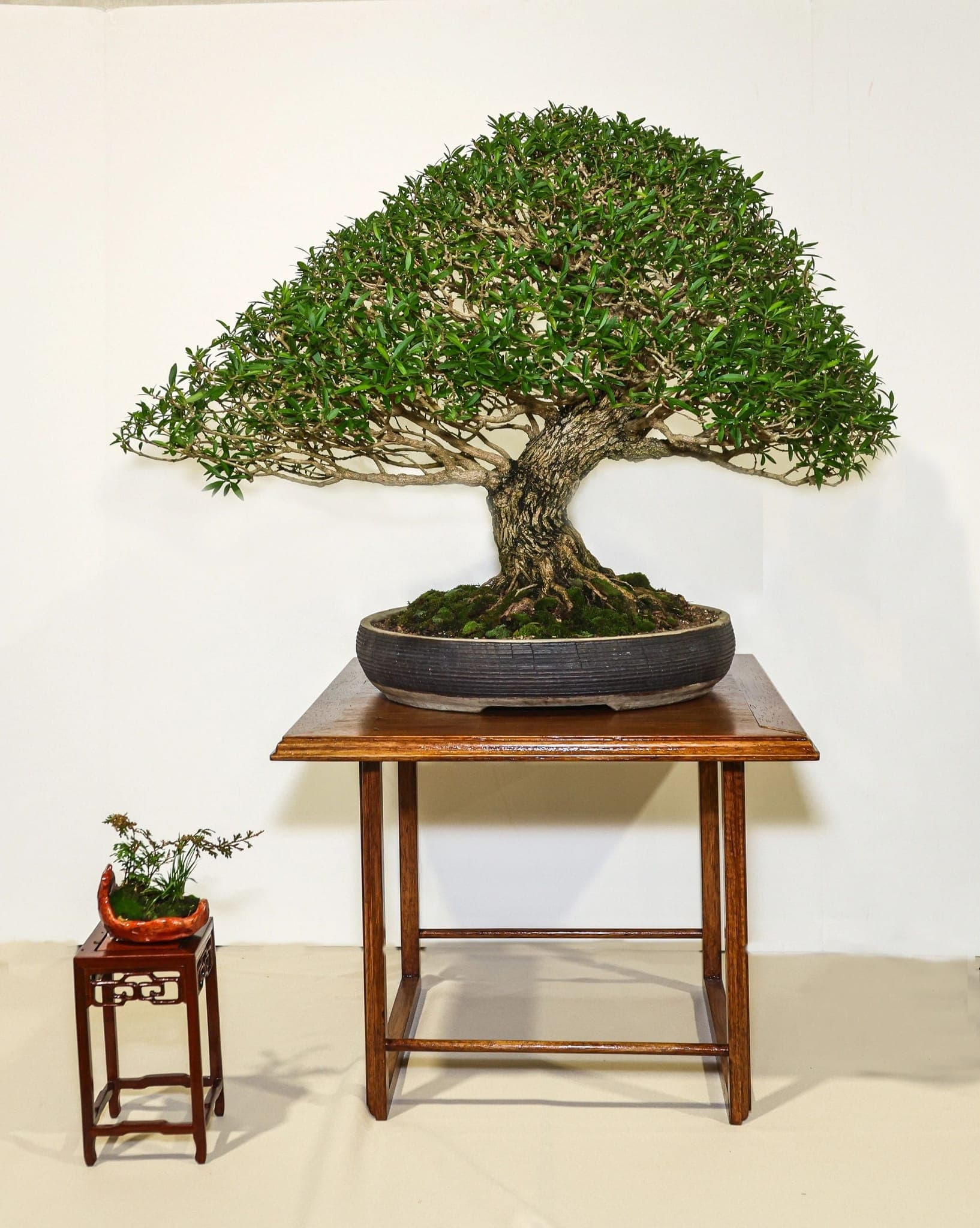 Photo from the 2023 annual show