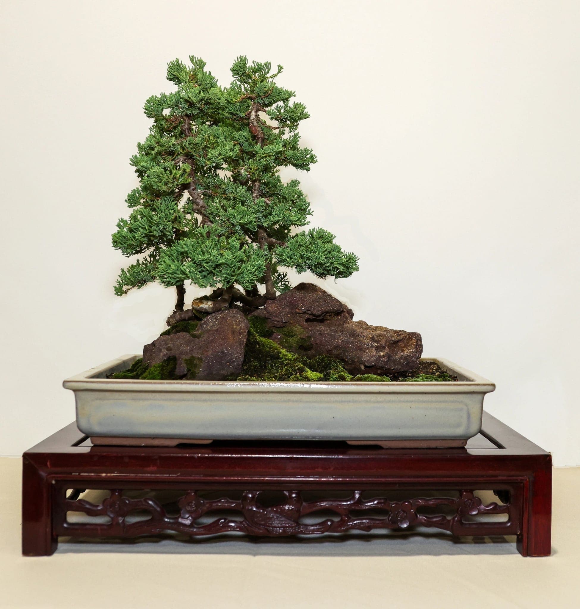 Photo from the 2023 annual show