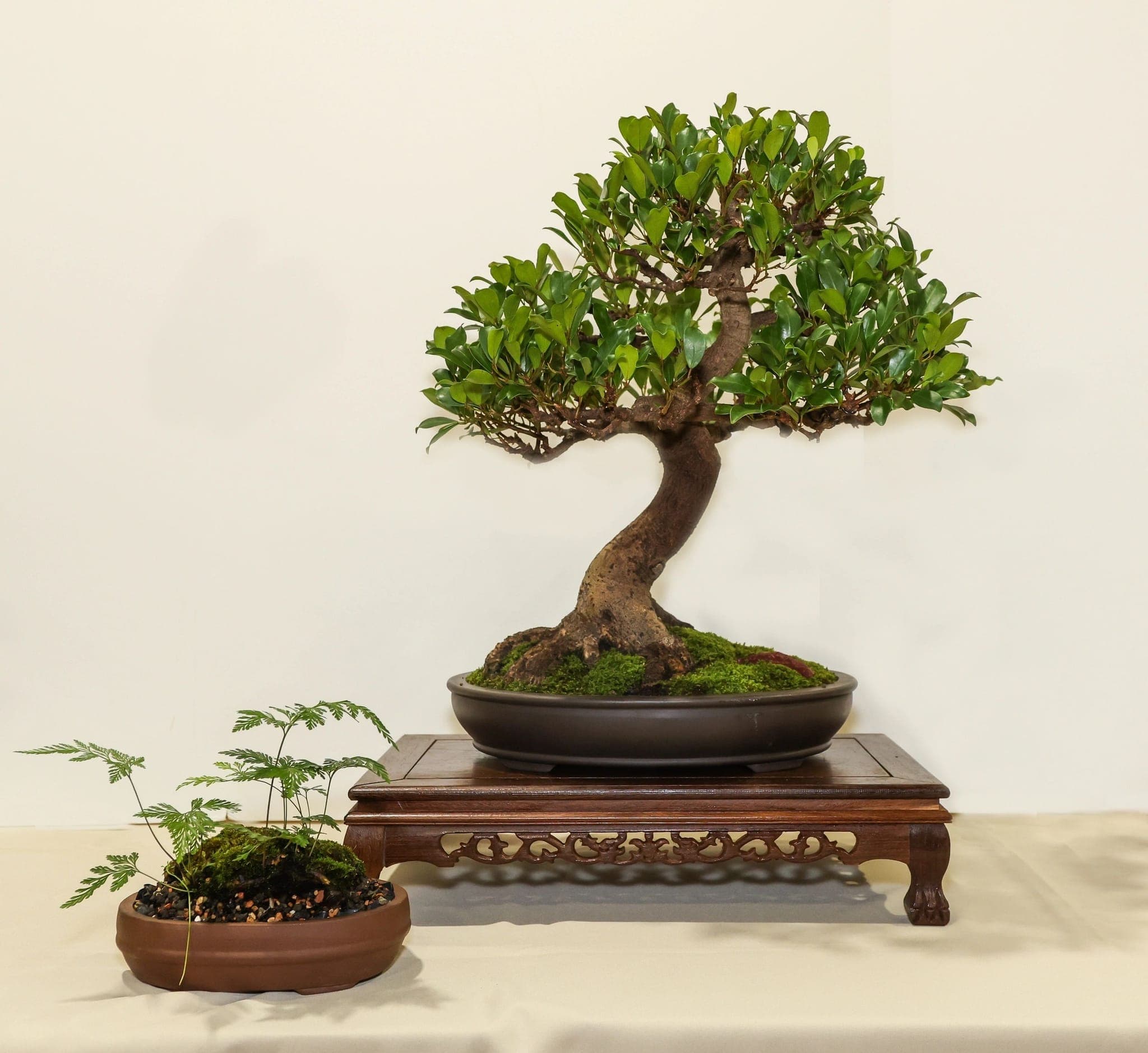 Photo from the 2023 annual show