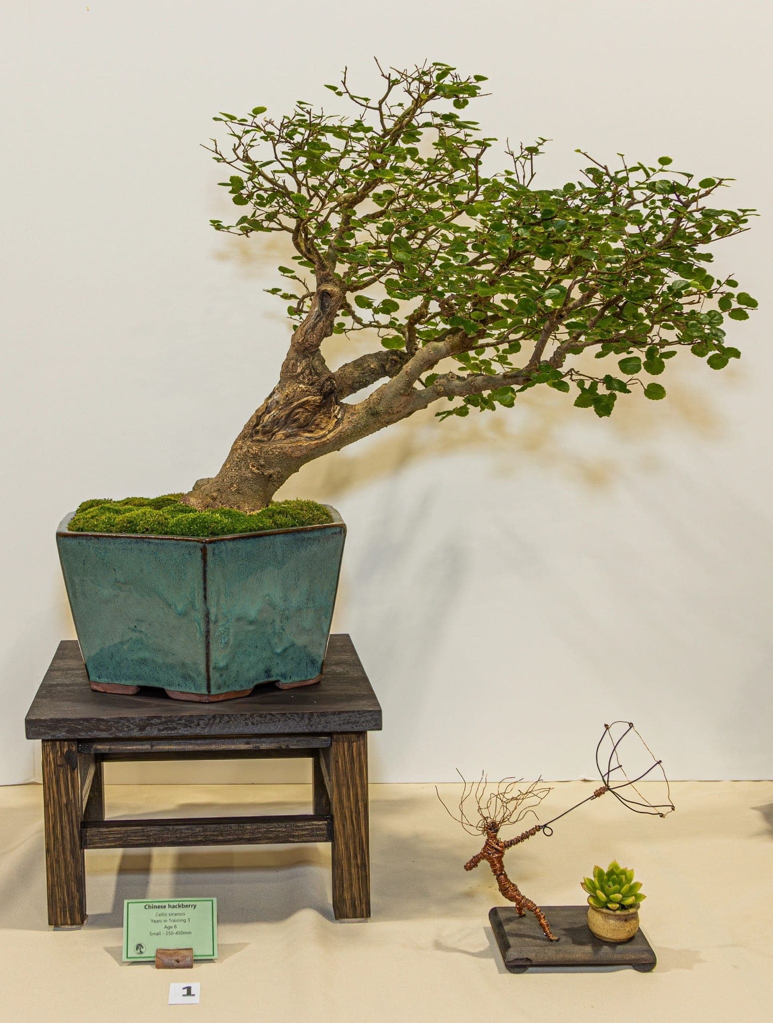 Photo from the 2024 annual show