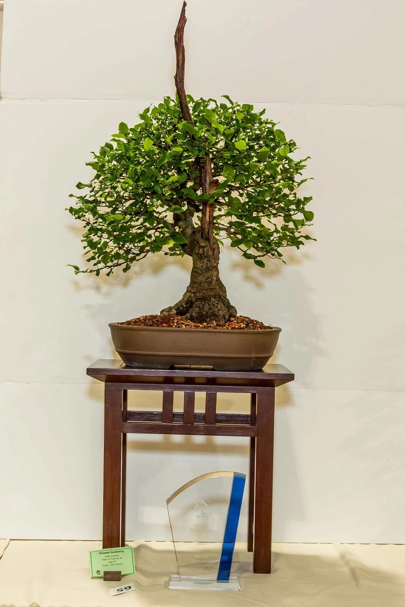 Photo from the 2024 annual show