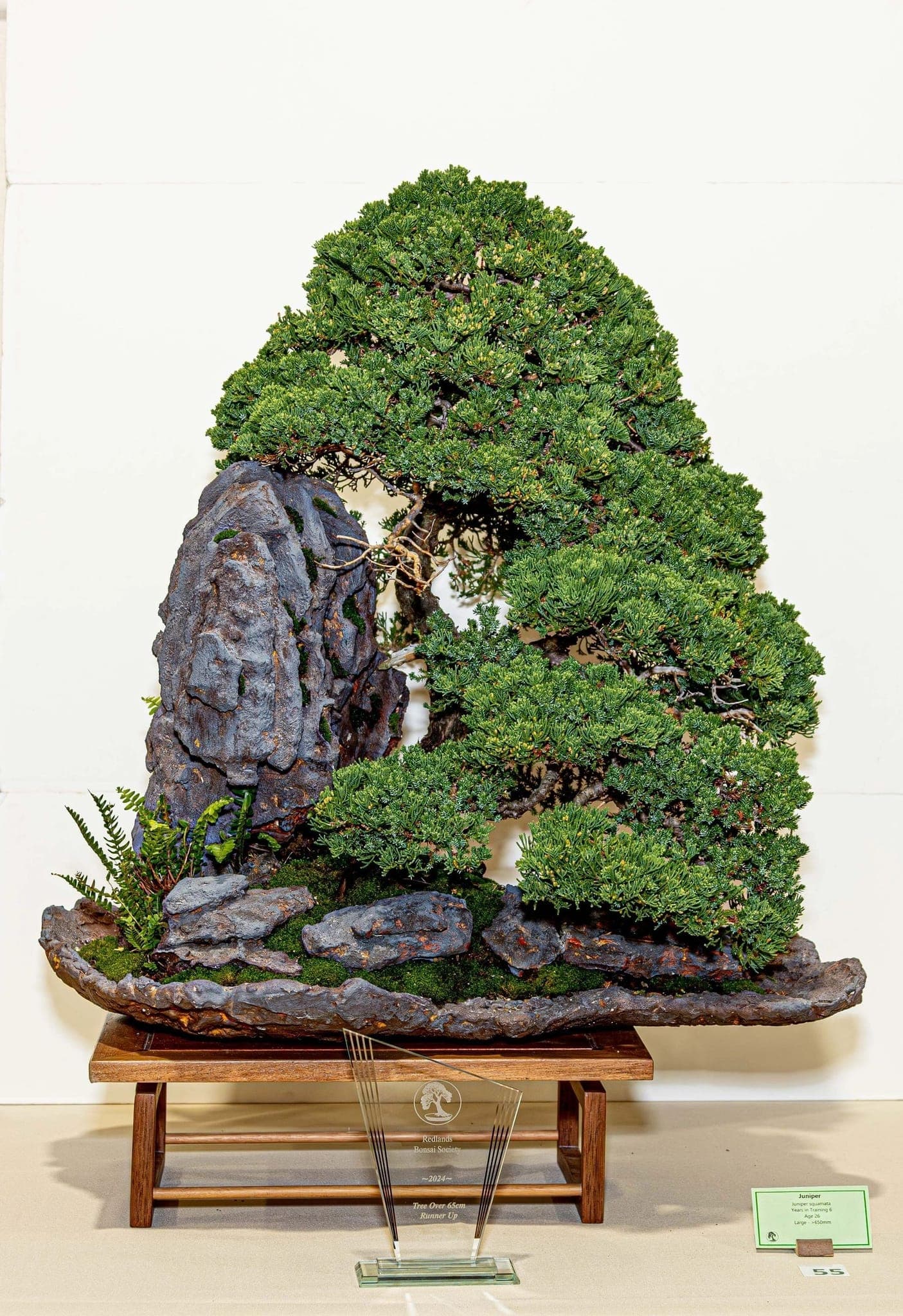 Photo from the 2024 annual show