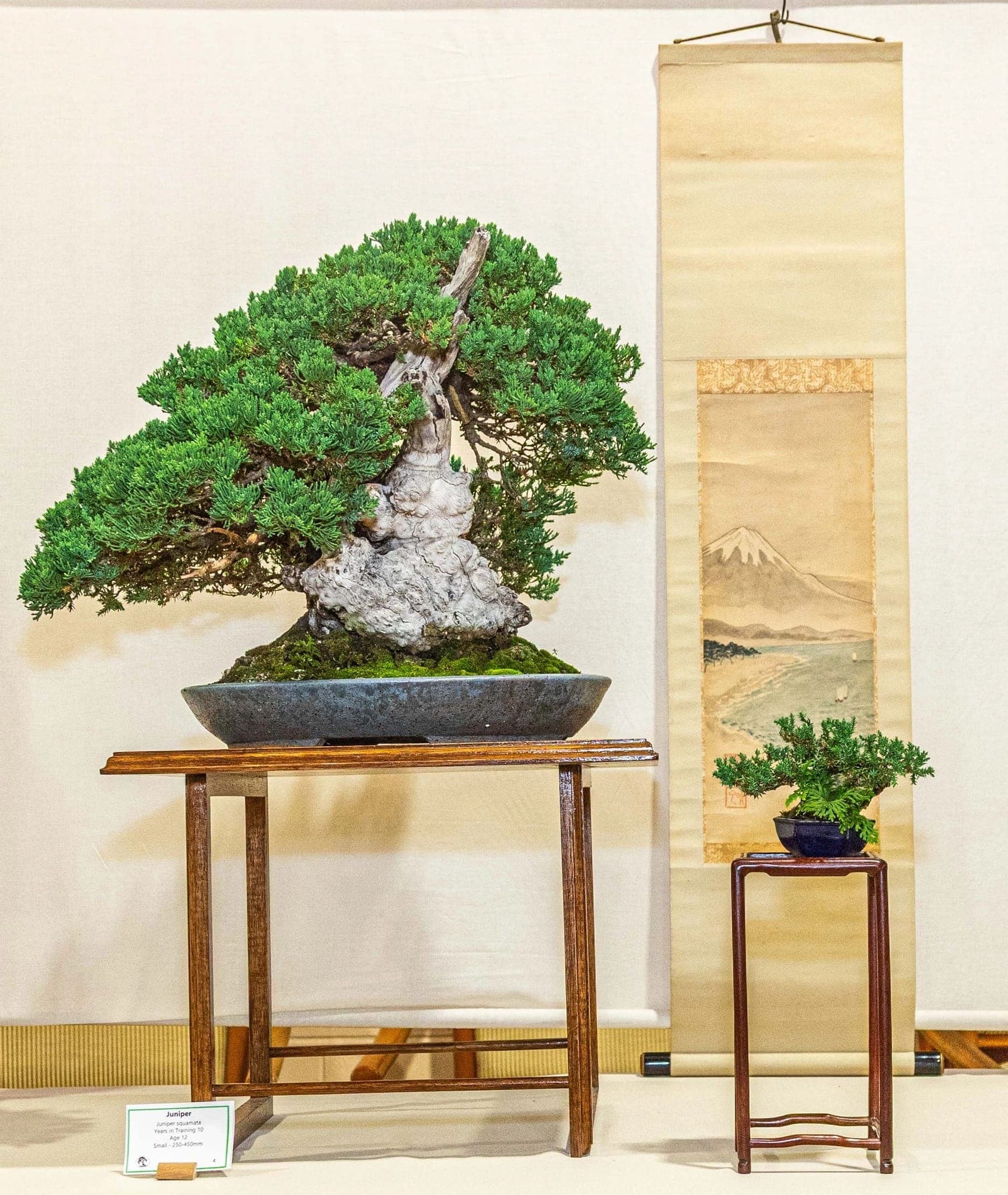 Photo from the 2025 annual show