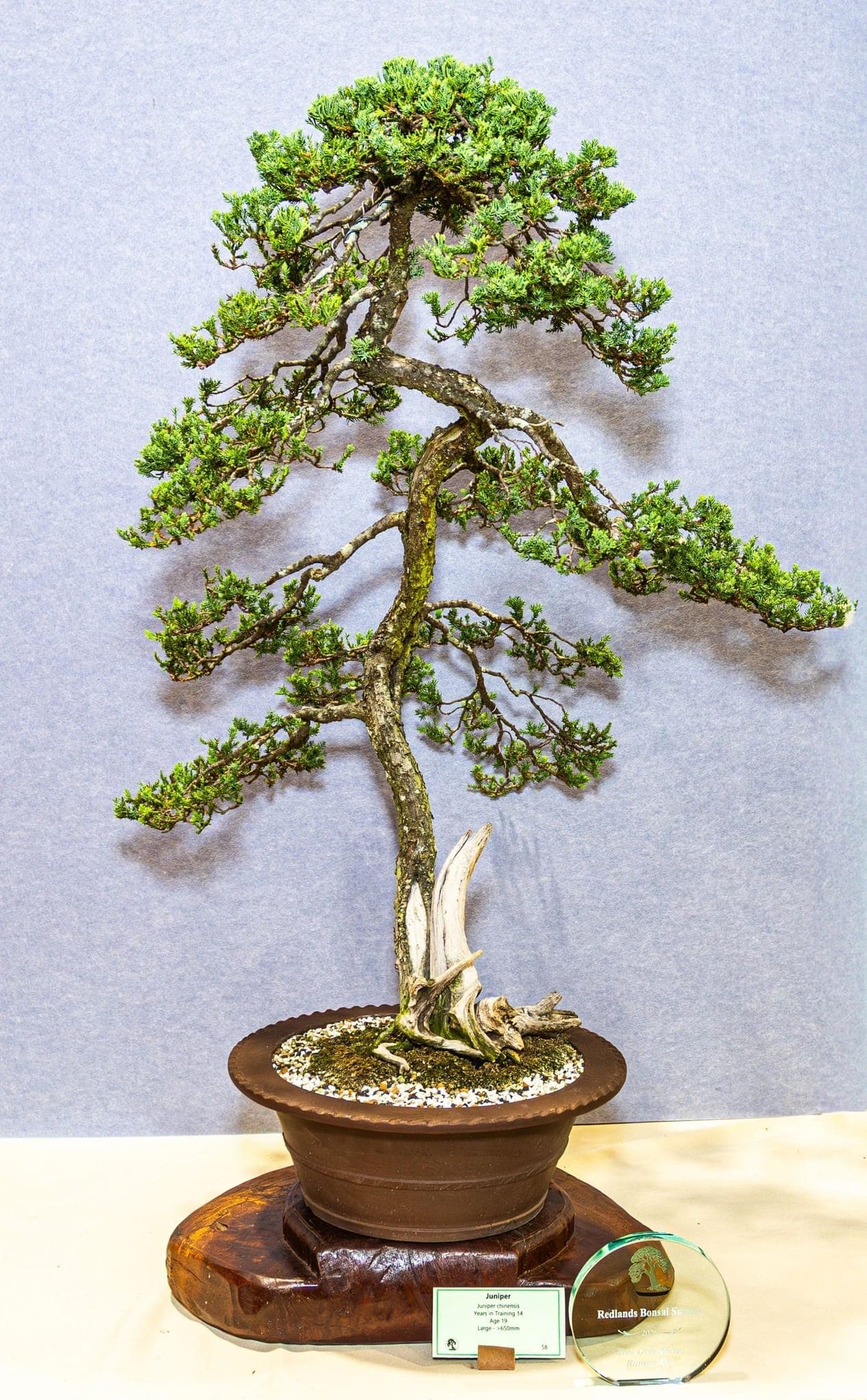 Photo from the 2026 annual show