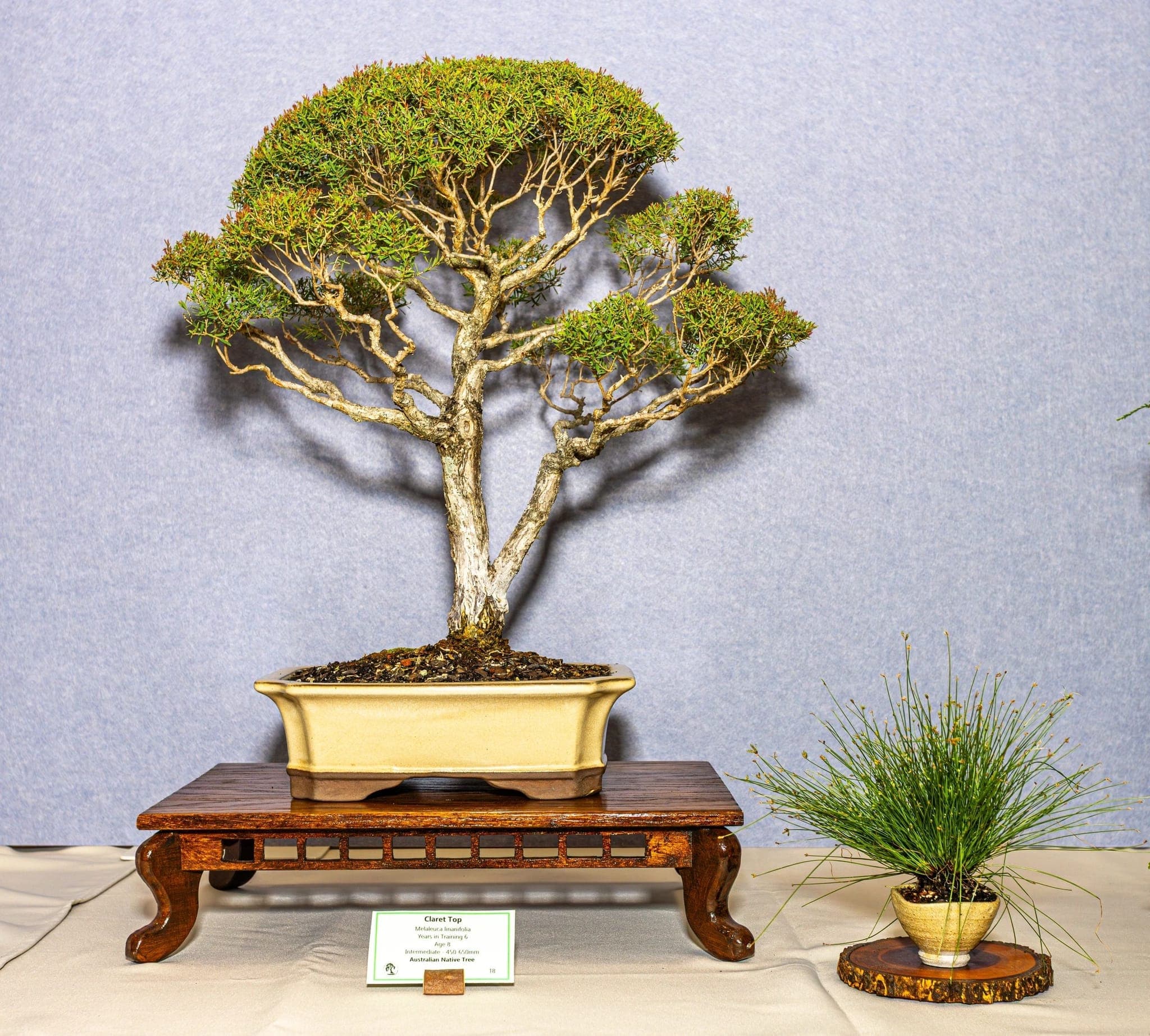 Photo from the 2026 annual show