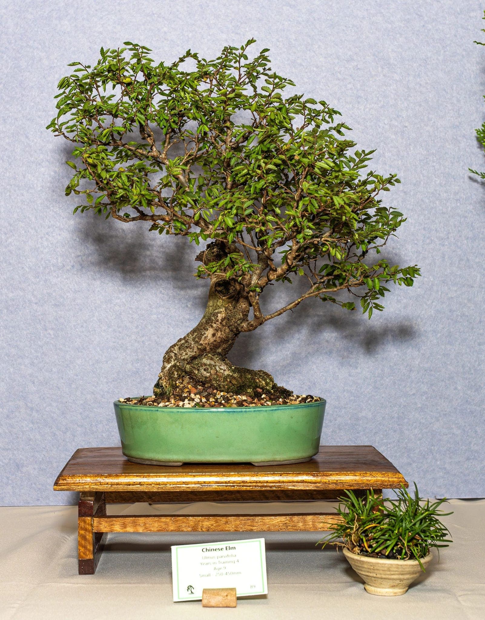 Photo from the 2026 annual show