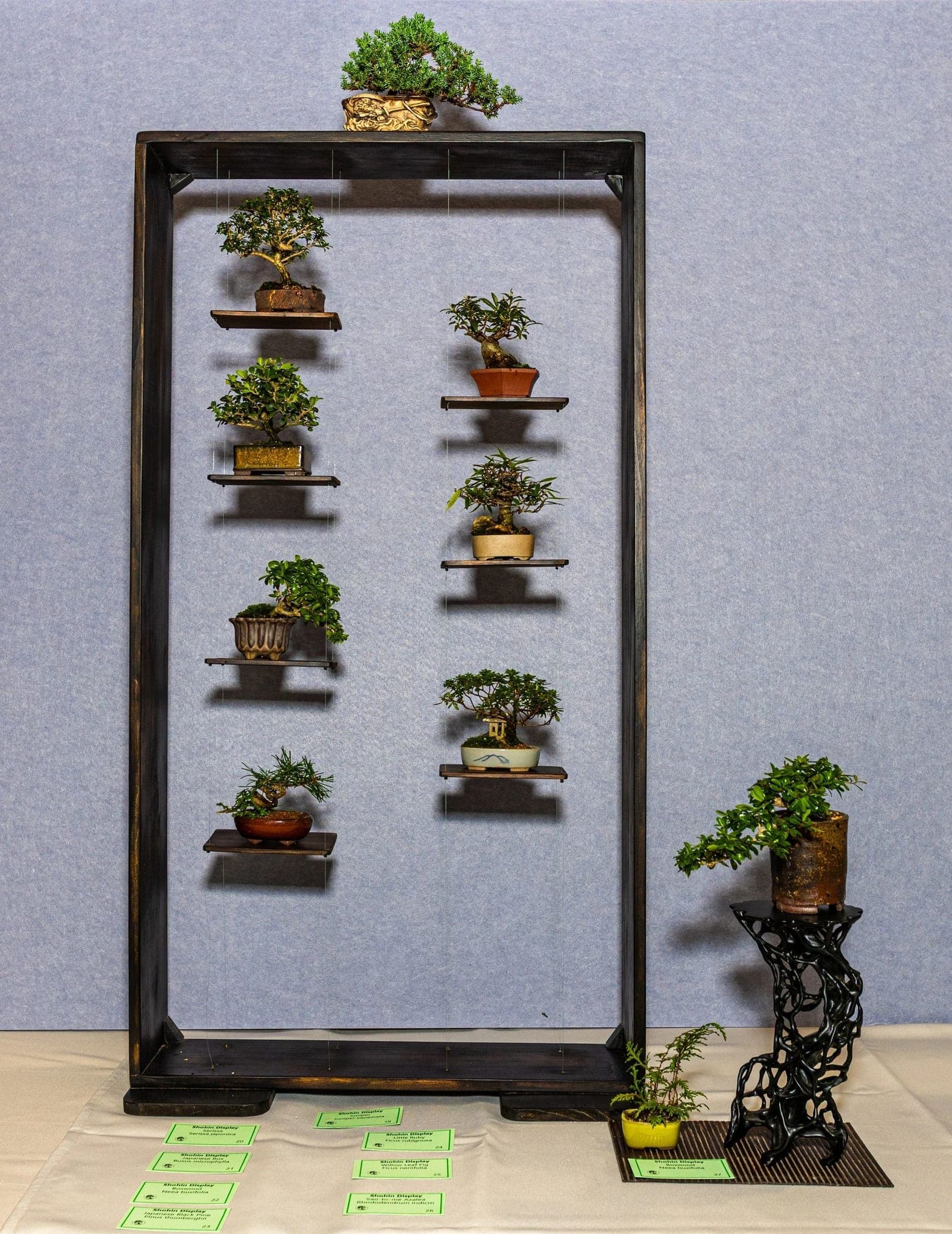 Photo from the 2026 annual show