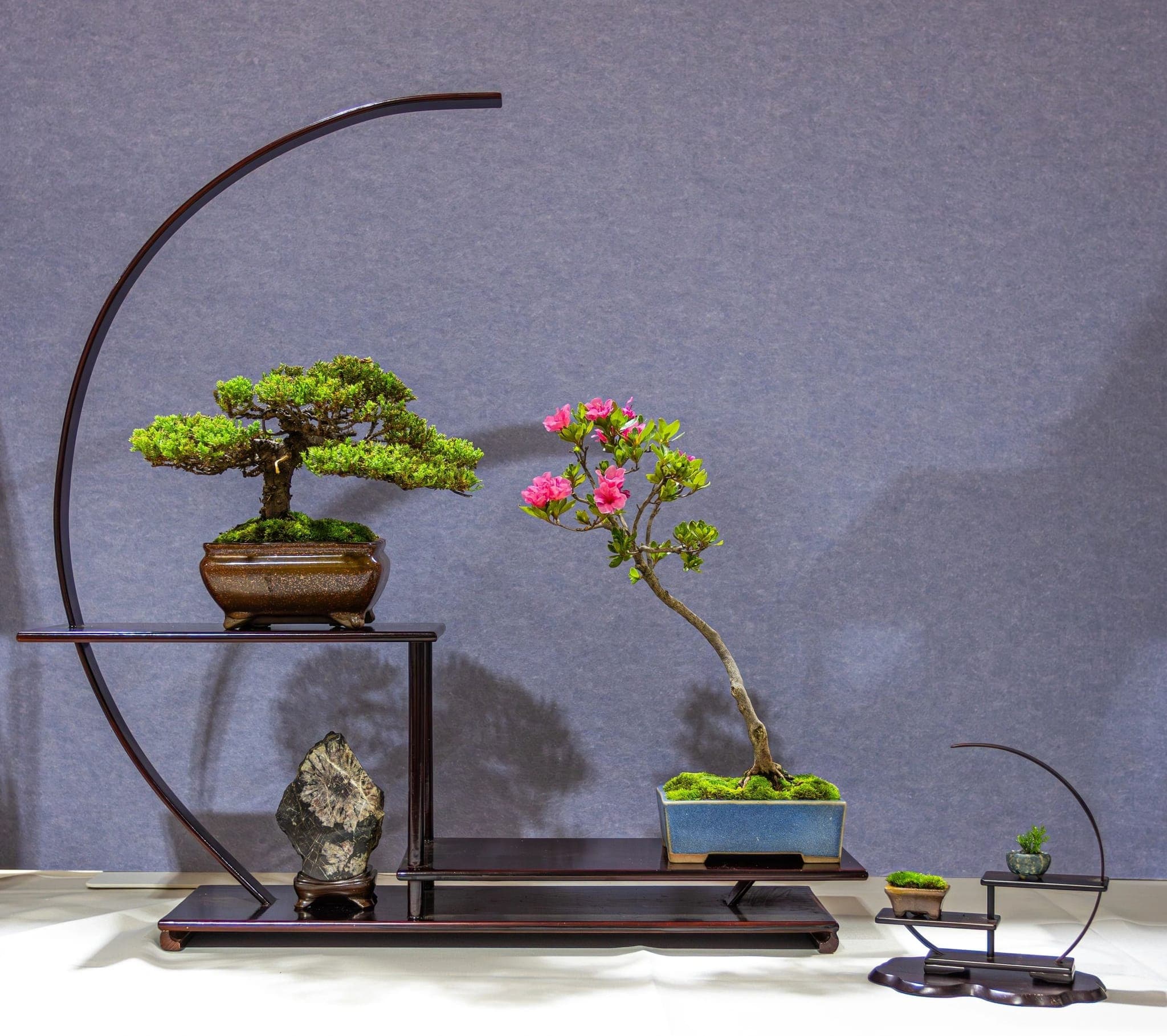 Photo from the 2026 annual show