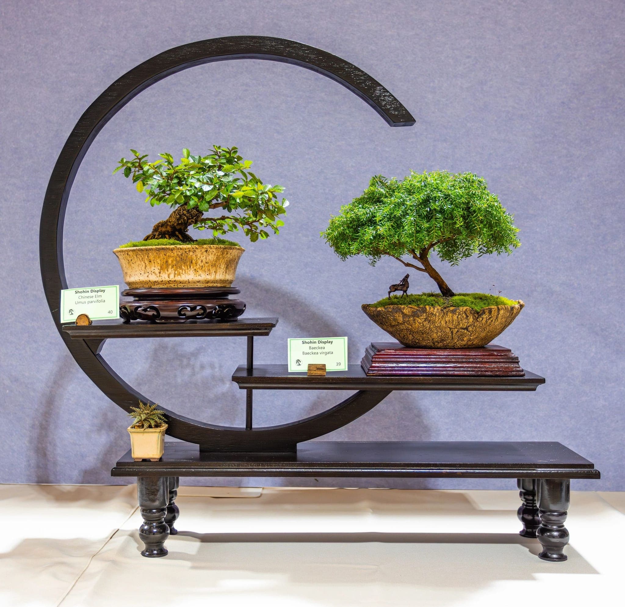 Photo from the 2026 annual show