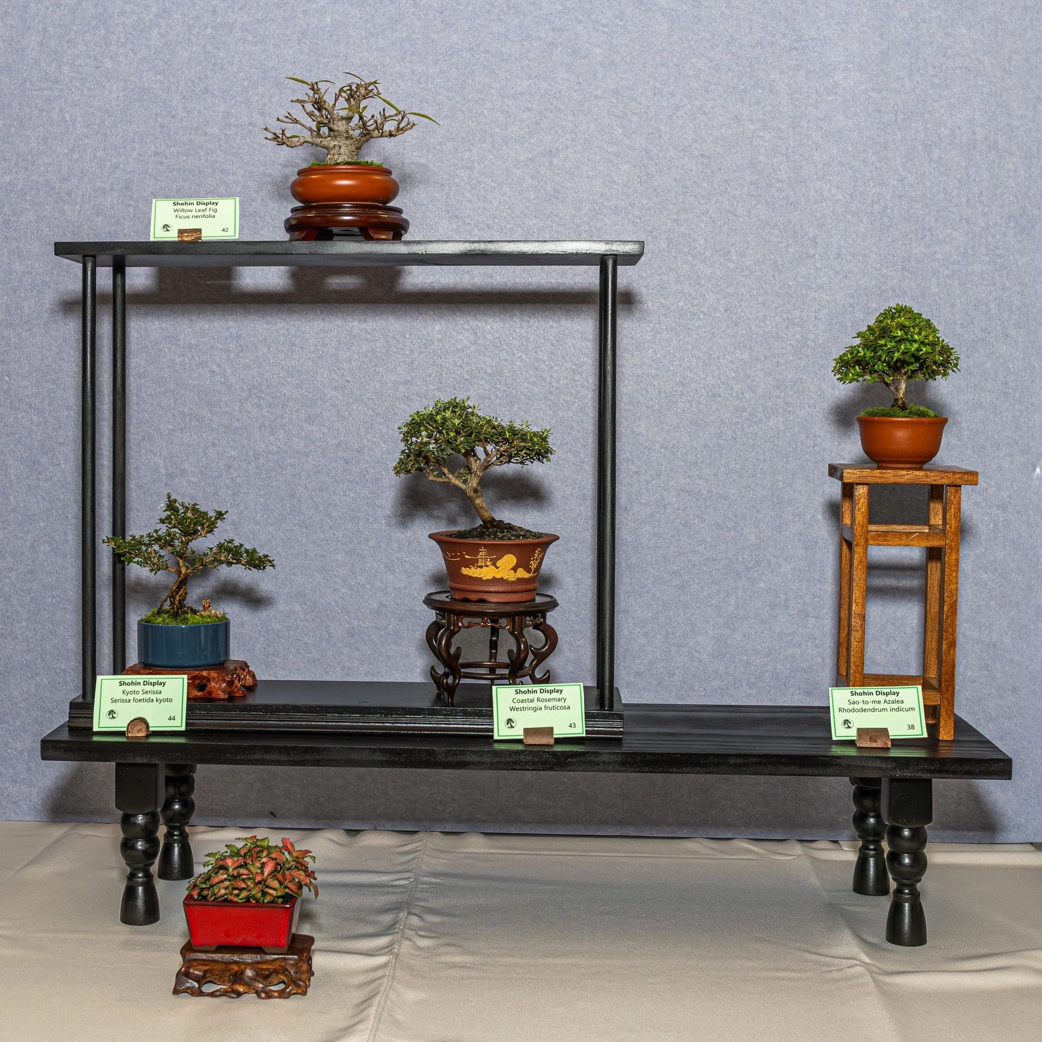 Photo from the 2026 annual show