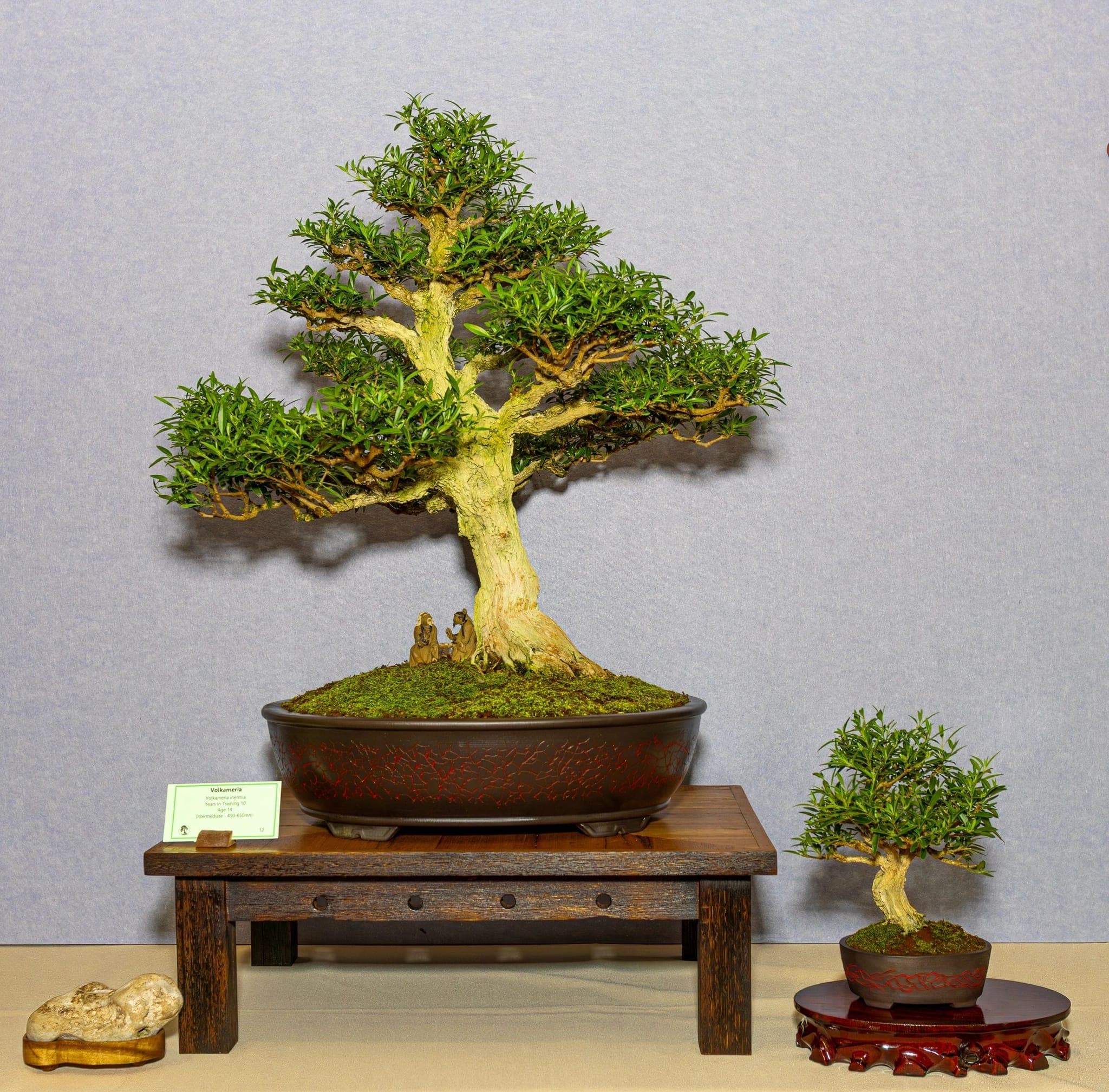 Photo from the 2026 annual show