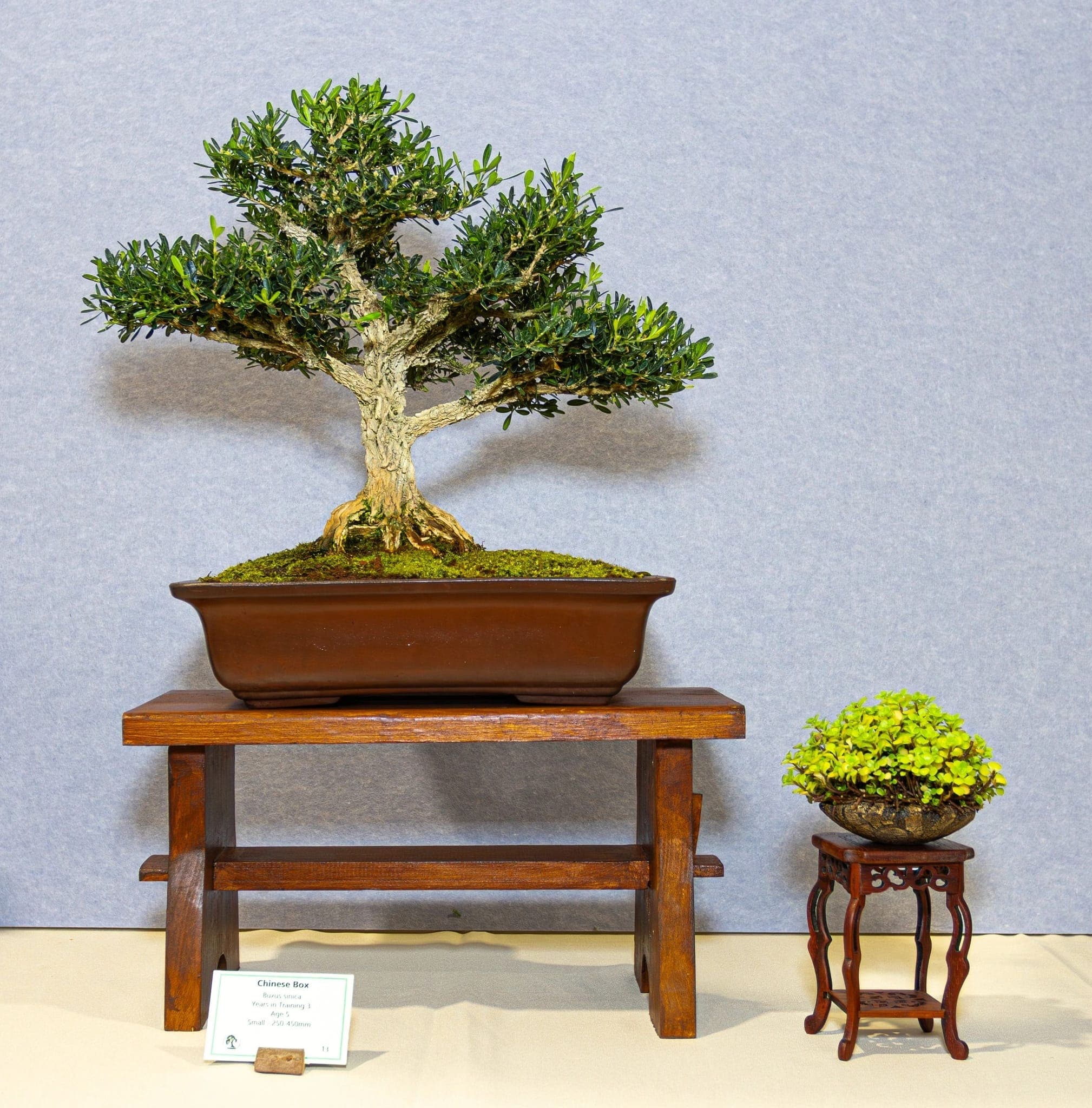 Photo from the 2026 annual show