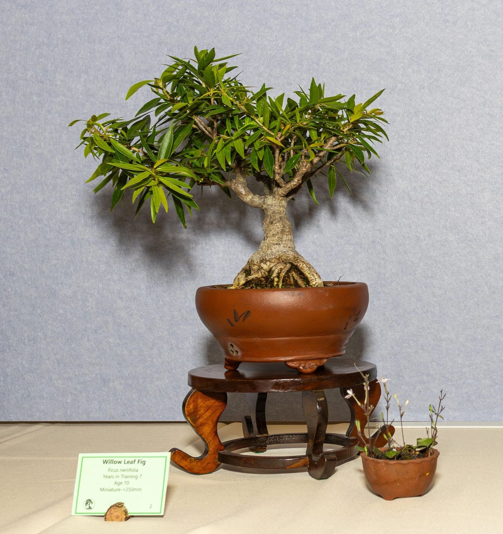 Photo from the 2026 annual show