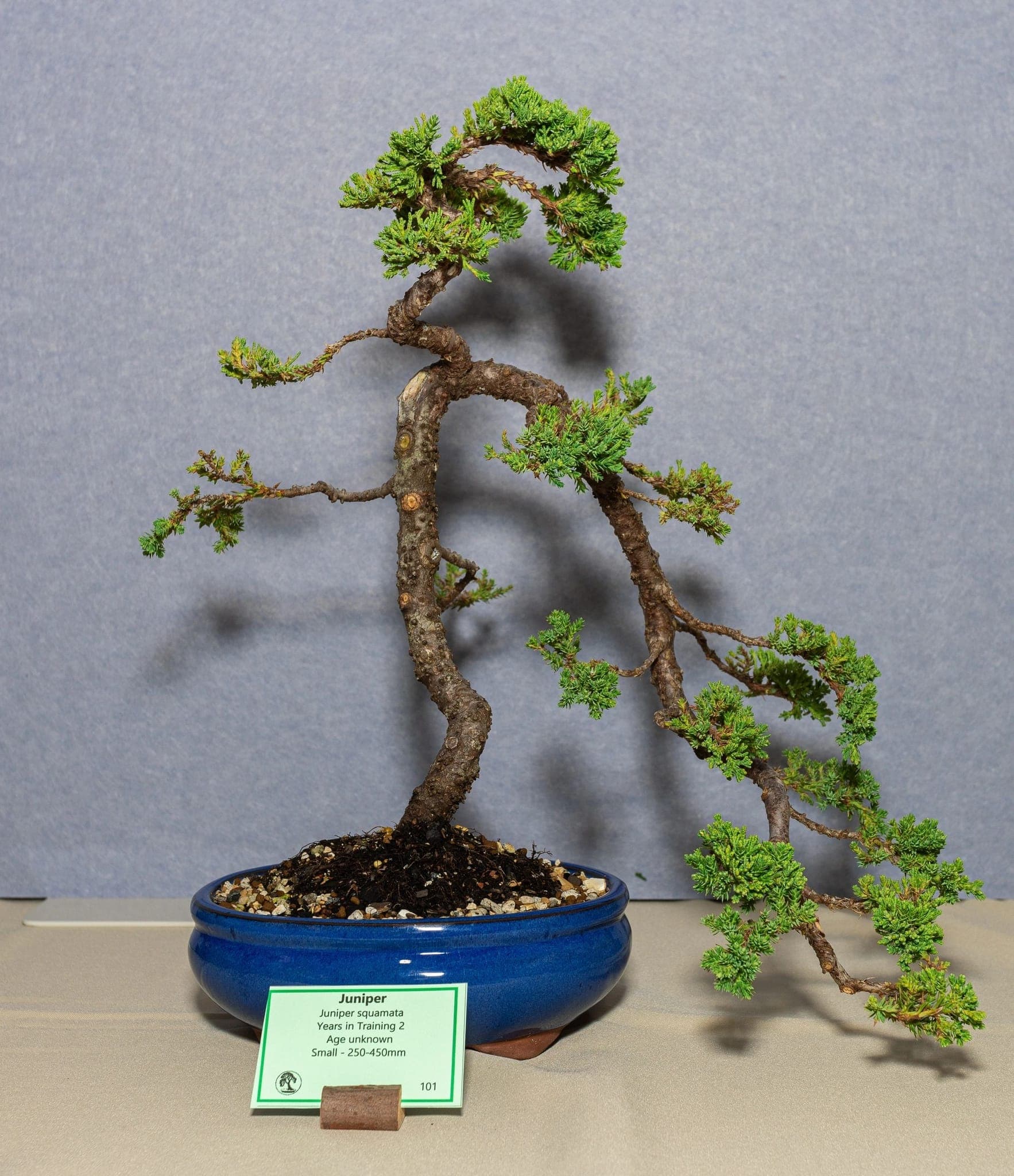 Photo from the 2026 annual show