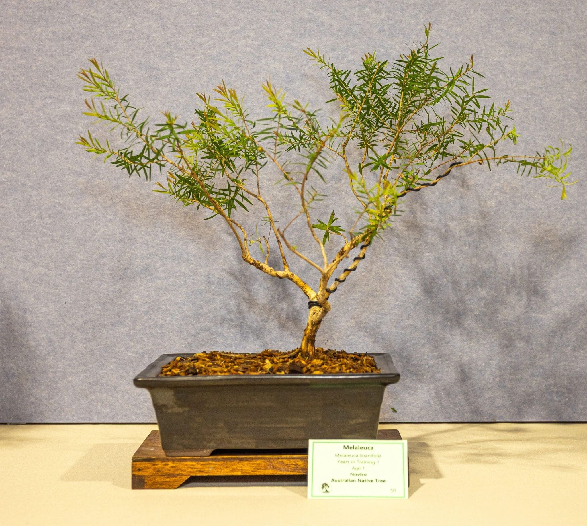 Photo from the 2026 annual show