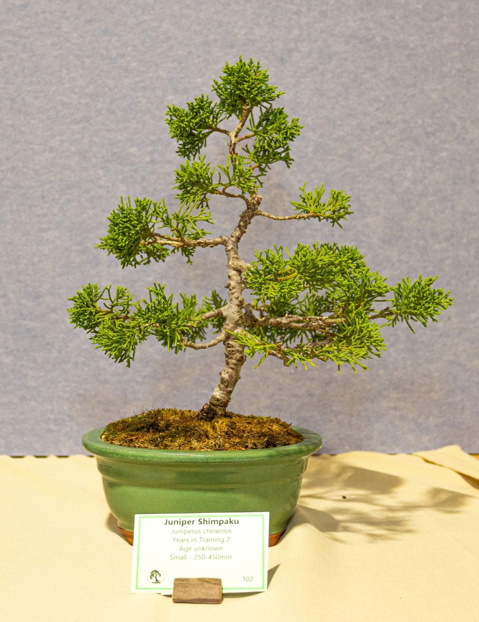 Photo from the 2026 annual show