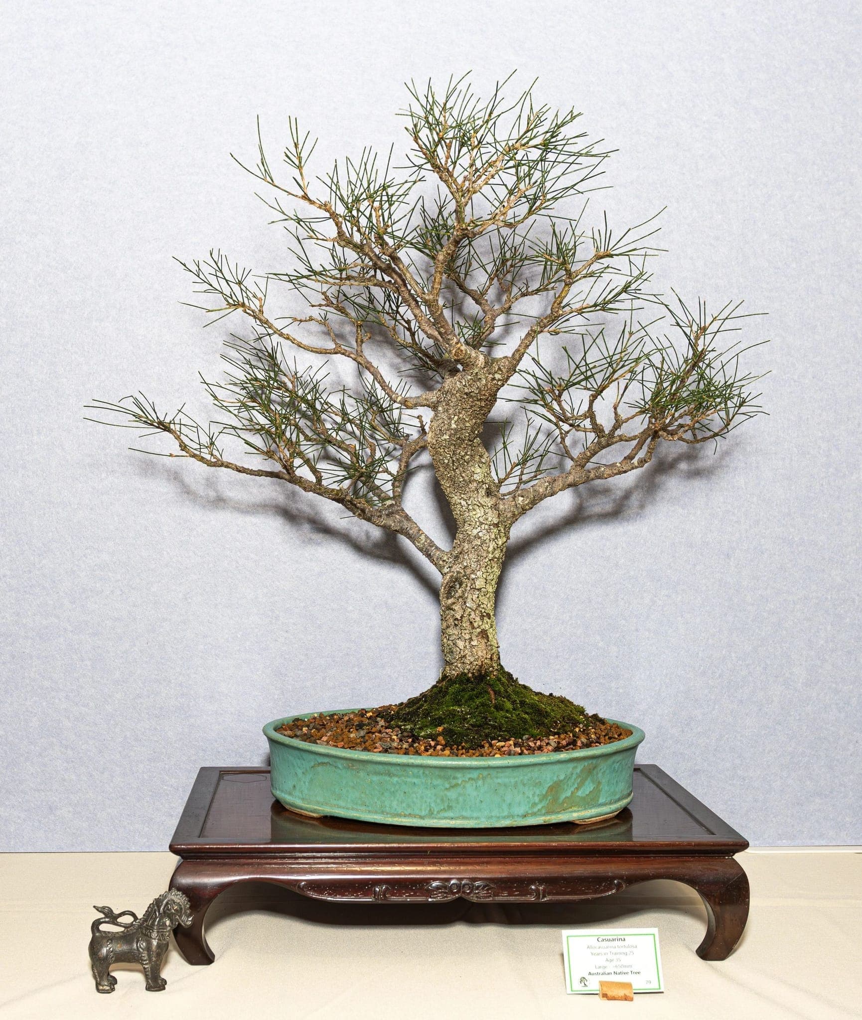 Photo from the 2026 annual show