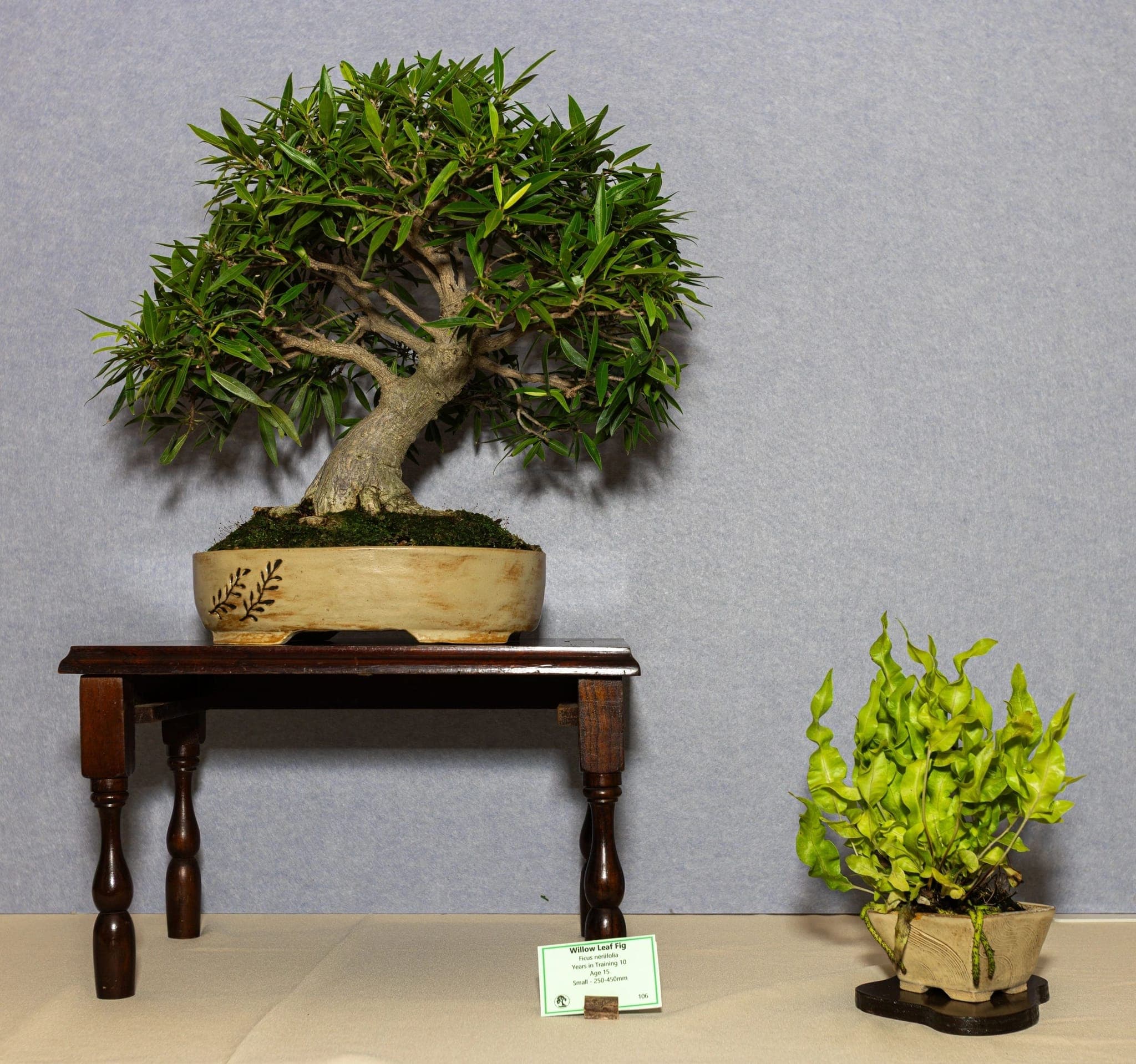 Photo from the 2026 annual show