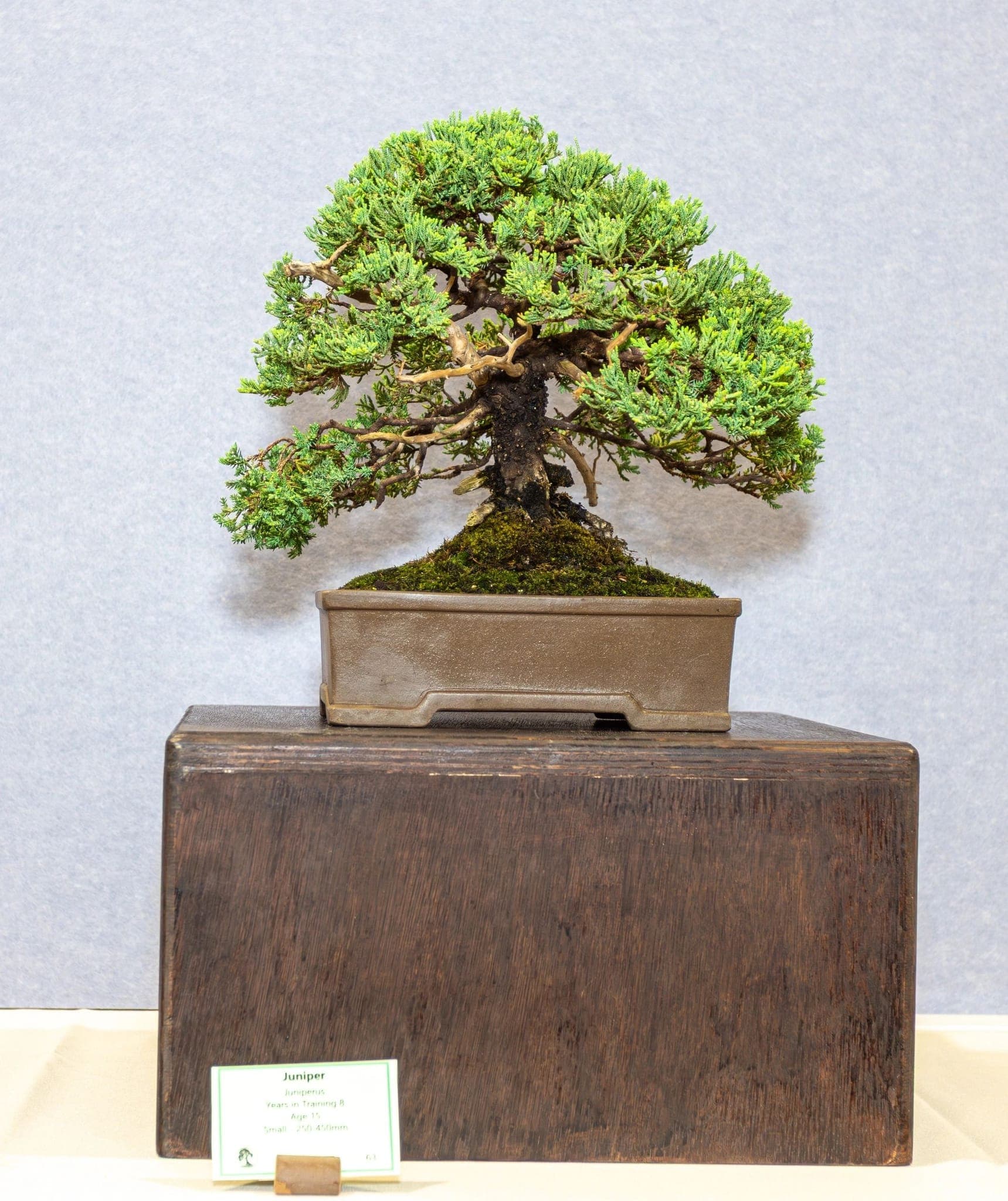 Photo from the 2026 annual show