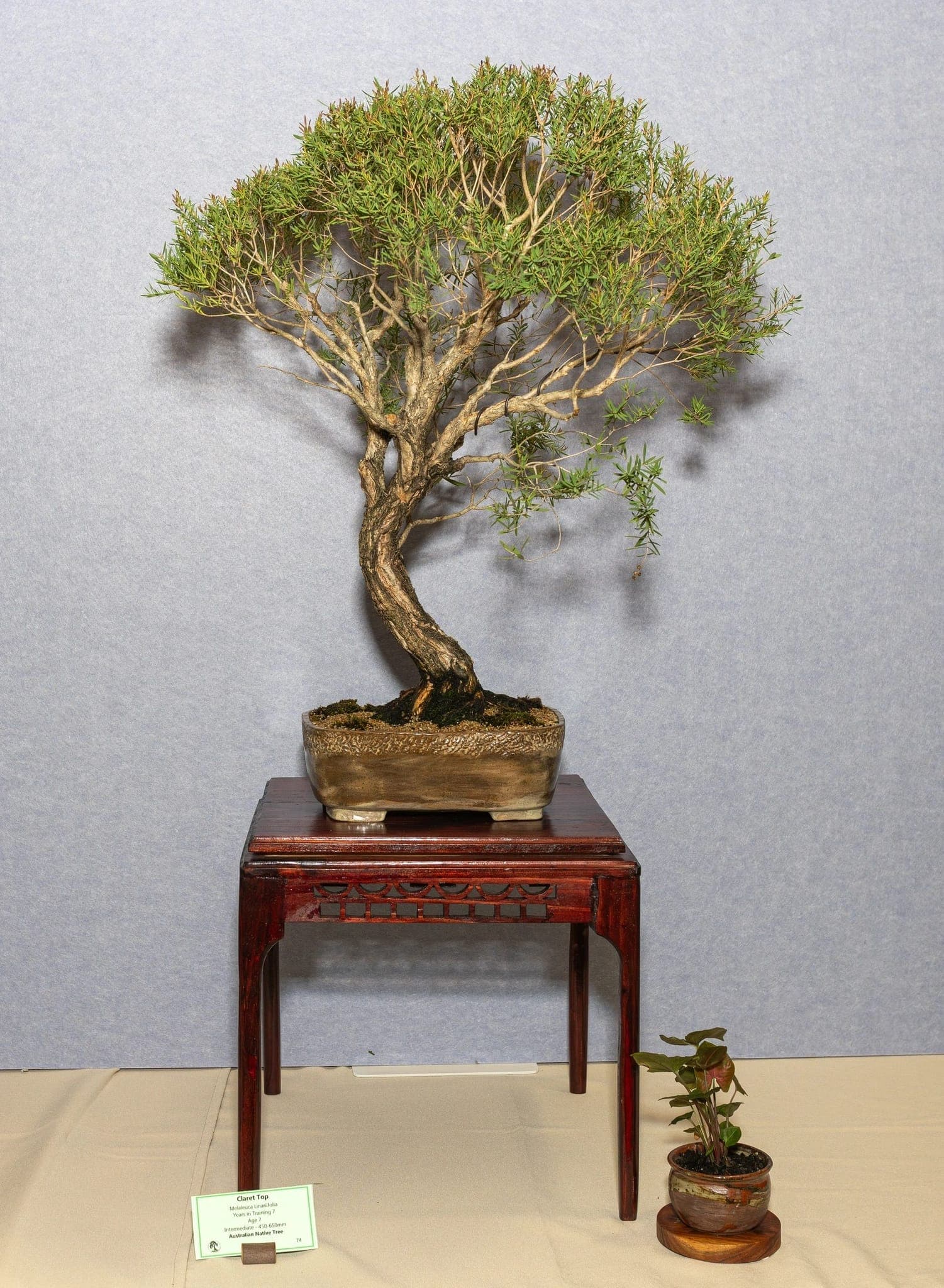 Photo from the 2026 annual show