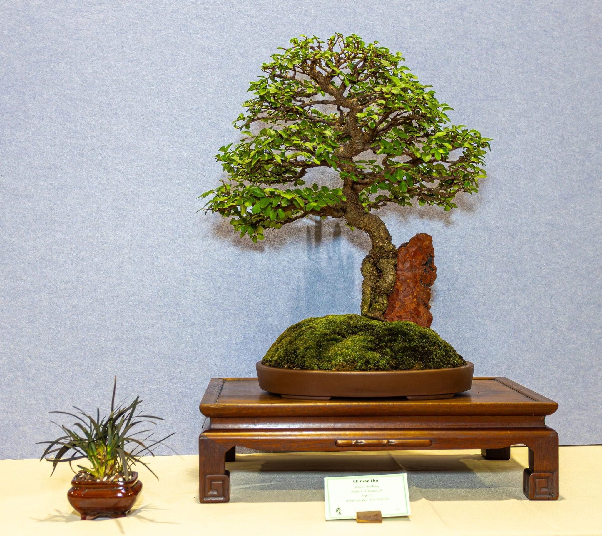 Photo from the 2026 annual show