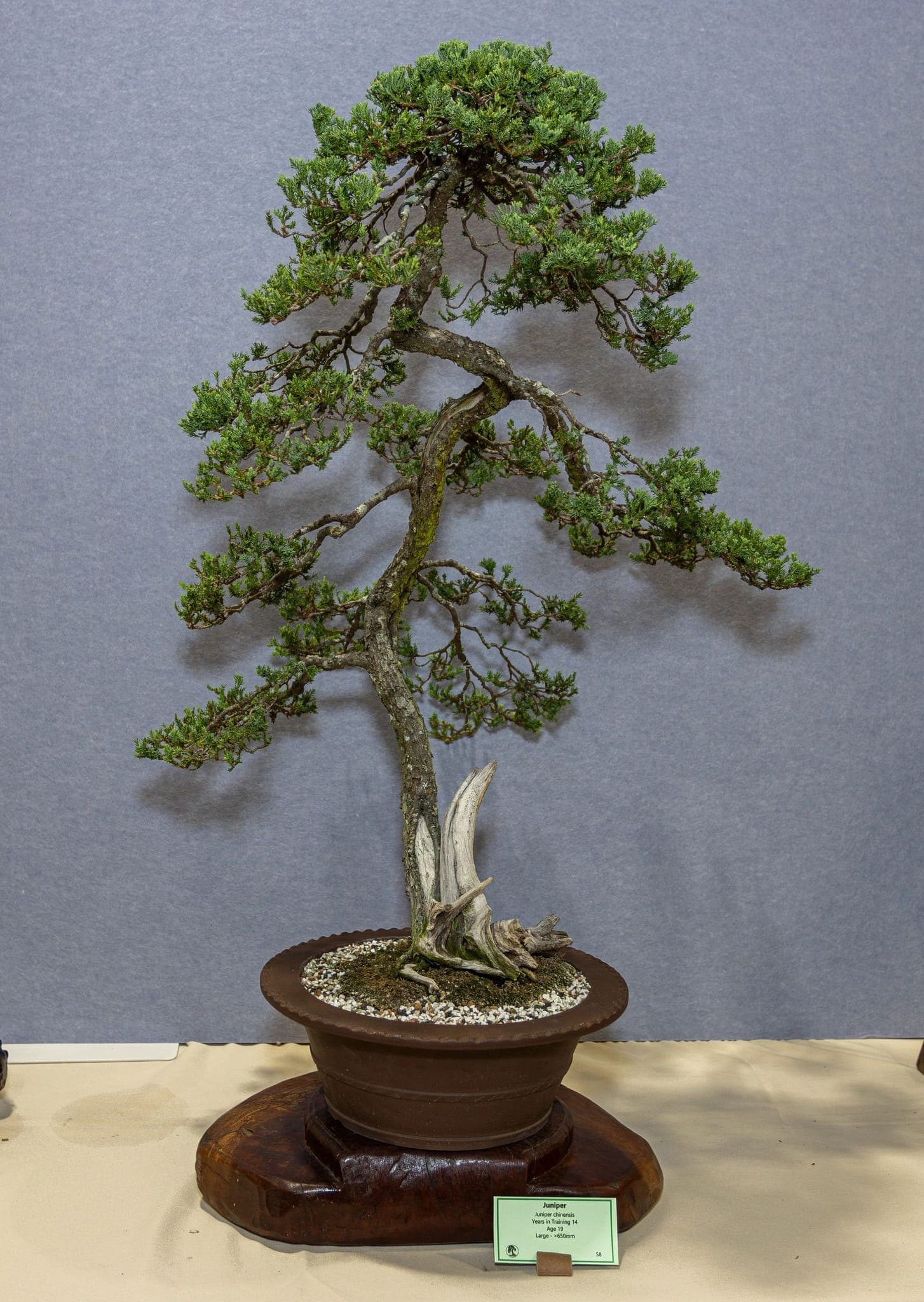 Photo from the 2026 annual show