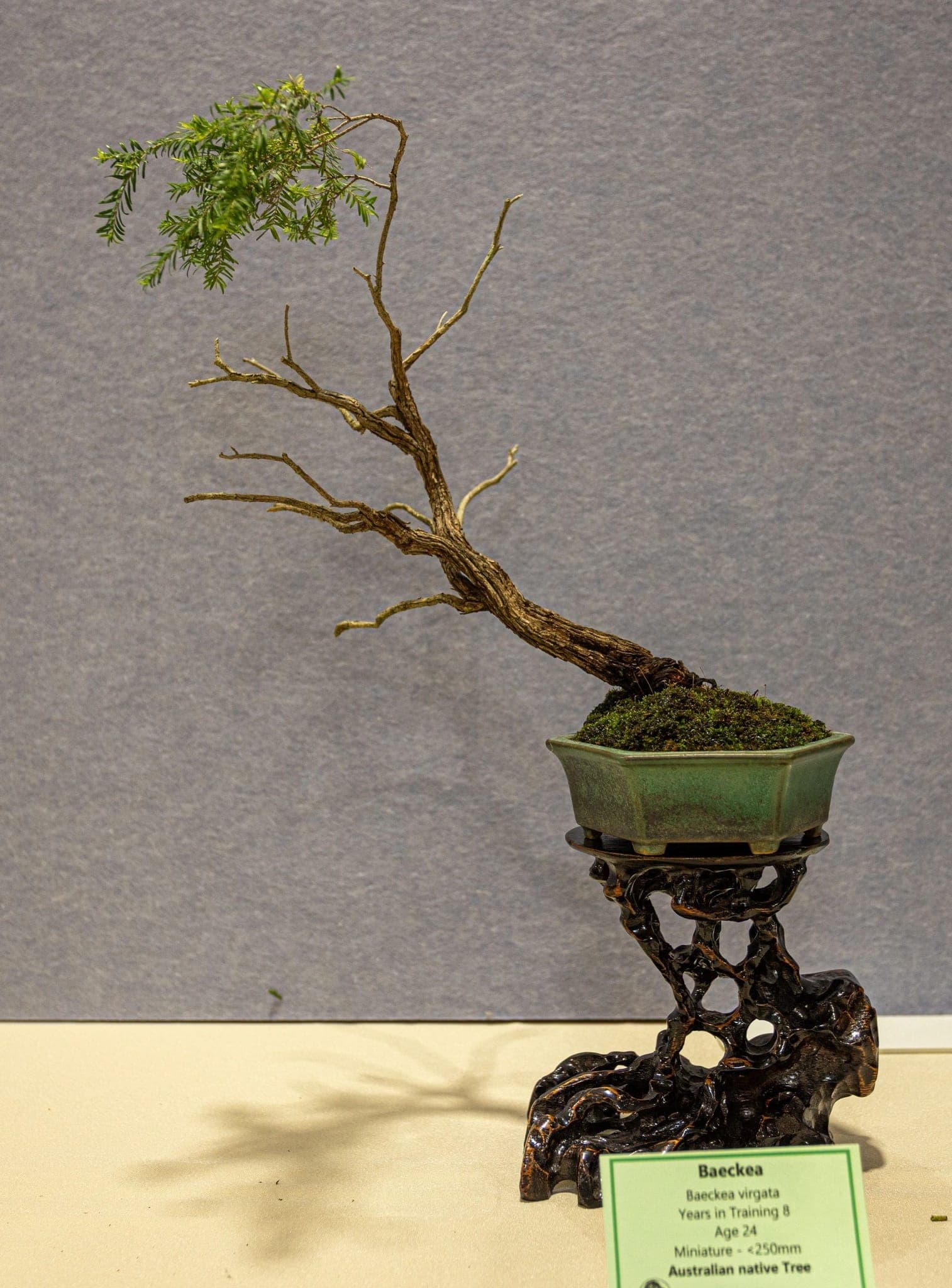 Photo from the 2026 annual show