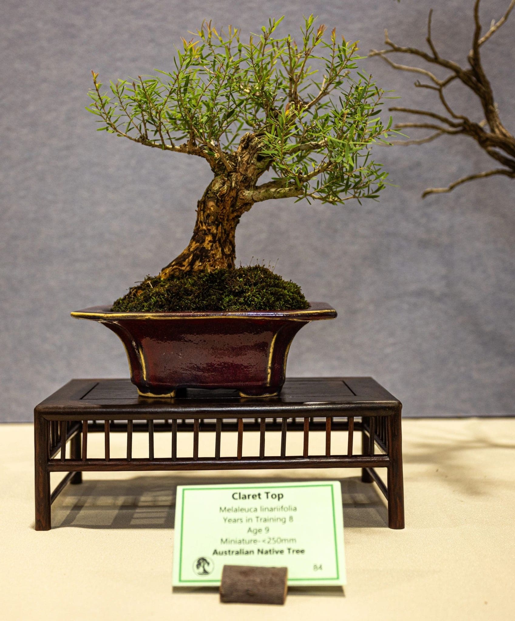 Photo from the 2026 annual show