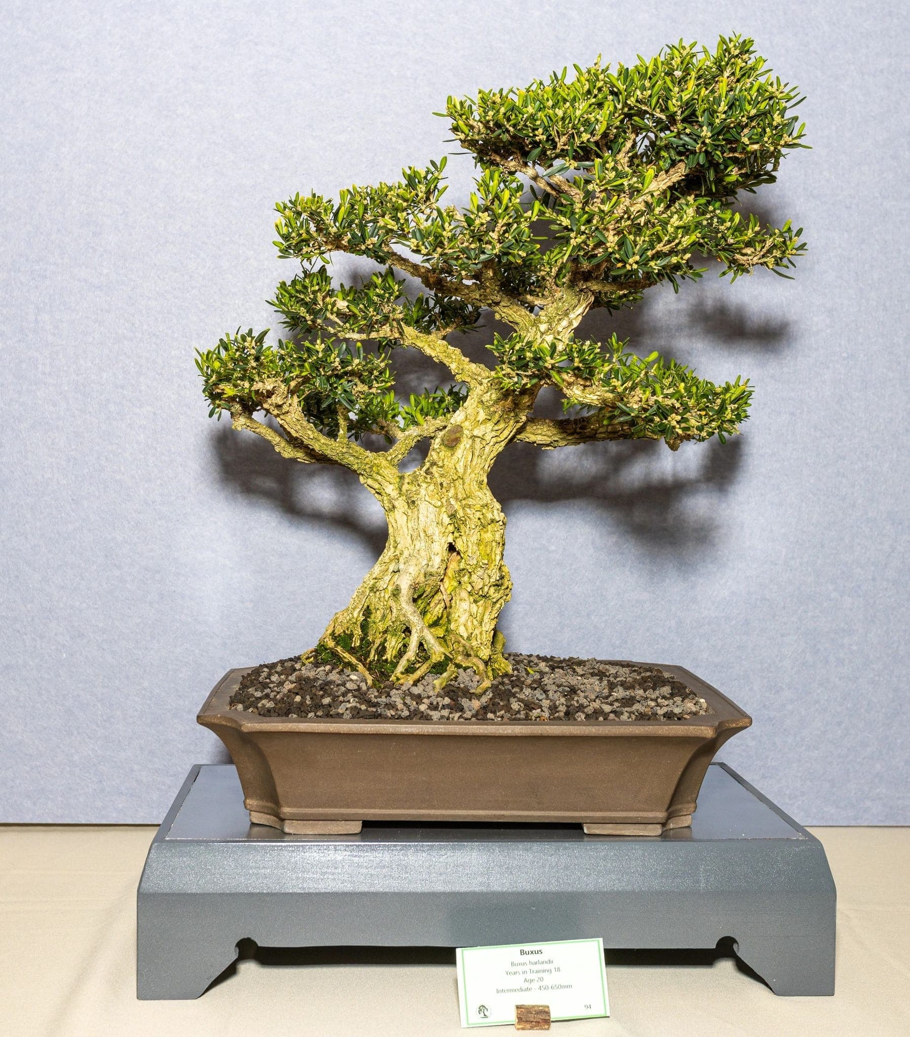 Photo from the 2026 annual show