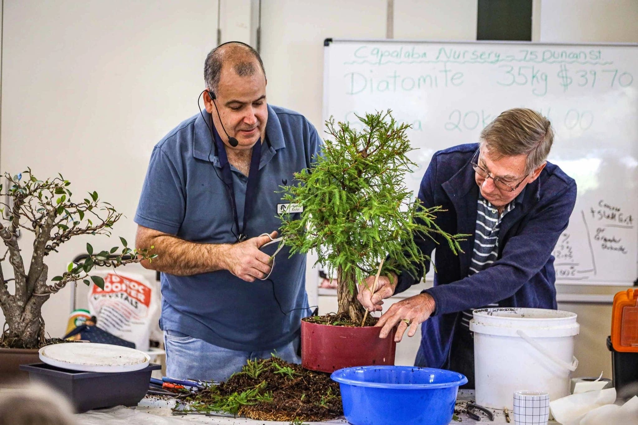 Members repotting a tree at a monthly meeting